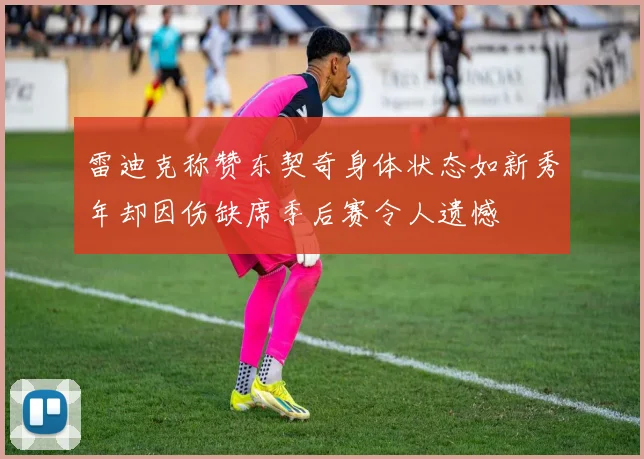雷迪克称赞东契奇身体状态如新秀年却因伤缺席季后赛令人遗憾